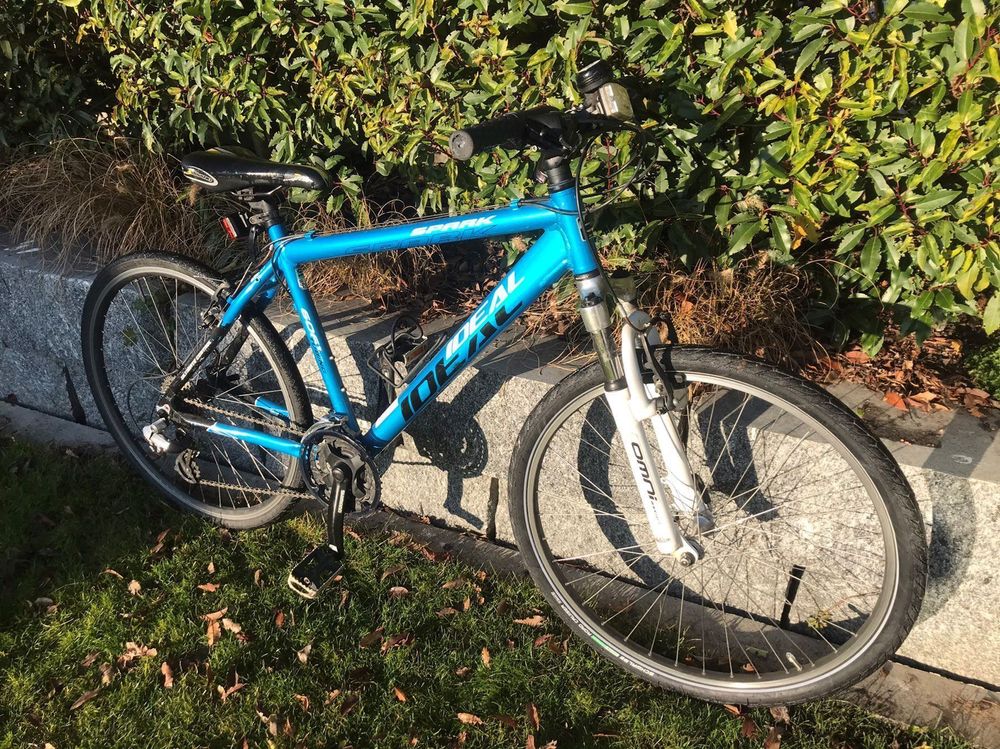 Mountainbike 26 Zoll Kaufen auf Ricardo