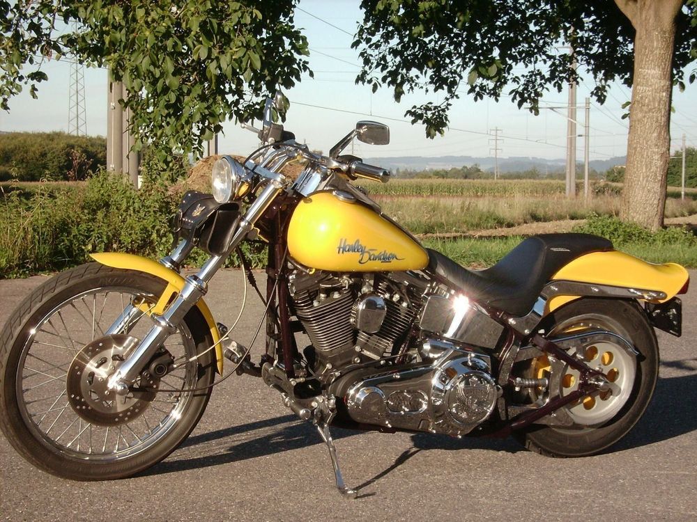 harley davidson 5