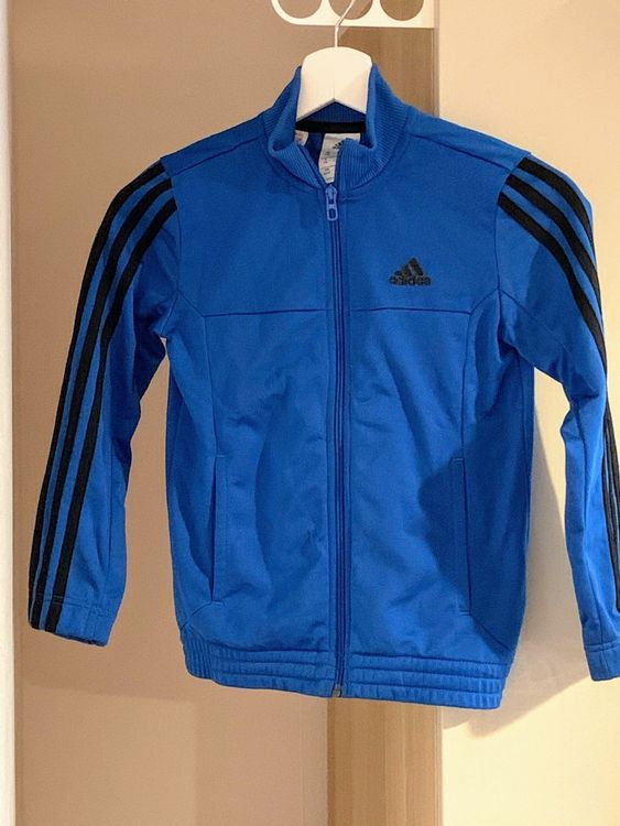 adidas hose und jacke