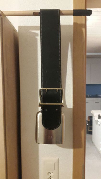 Zemp Kaufen auf Ricardo
