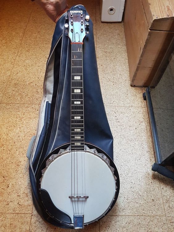 Banjo Kaufen auf Ricardo