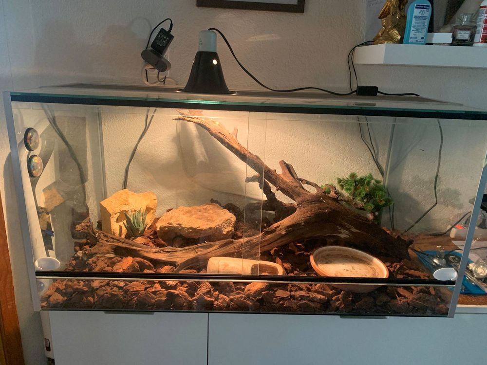 exo terra terrarium 100x50x50