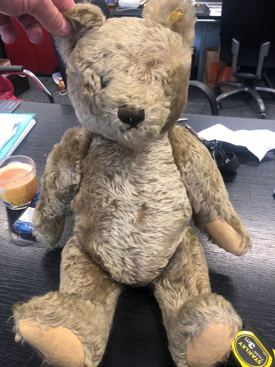 Steiff 673580 Graf von Zeppelin Teddybär Mohair 30 cm