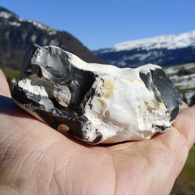 Feuerstein bzw. Flint von der Nordsee Kaufen auf Ricardo
