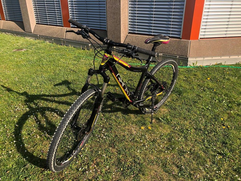 damen fahrrad riemenantrieb 11 gang extra leicht