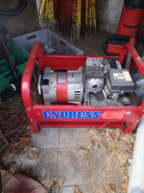 Generator Endress | Kaufen auf Ricardo