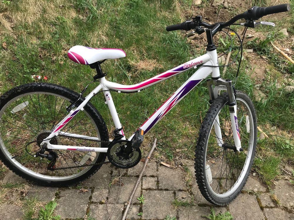 bike-gr-26-zoll-kaufen-auf-ricardo