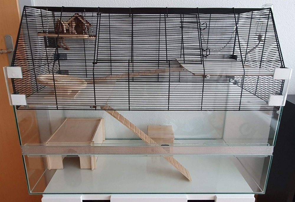 Kleintier Terrarium mit Zubehör Kaufen auf Ricardo