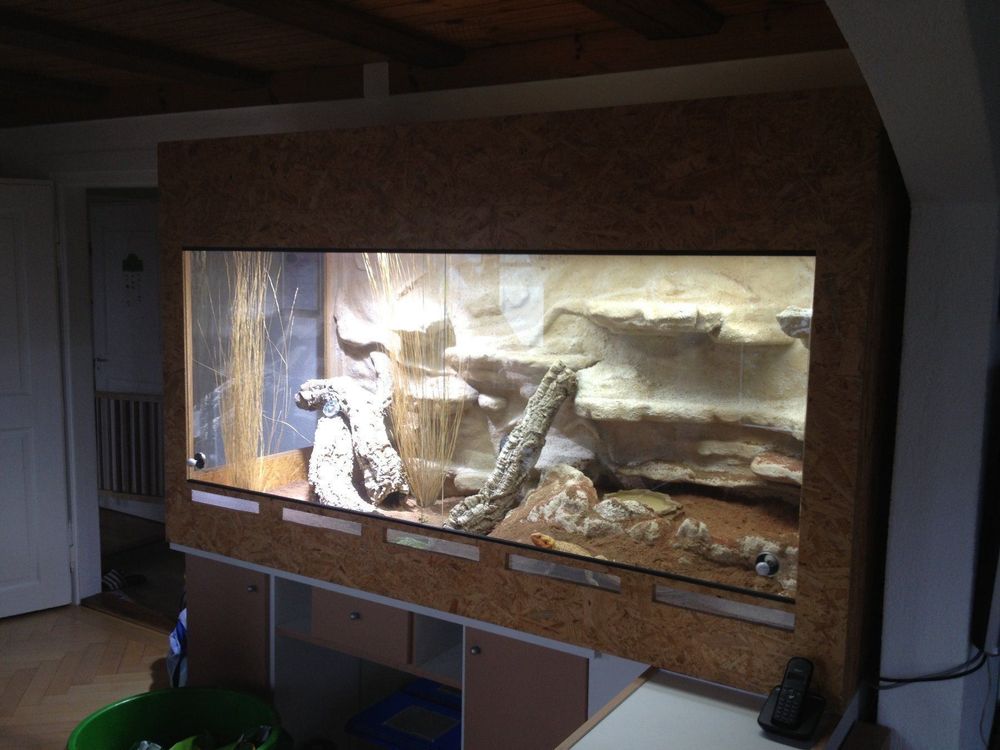 OSB Terrarium 200cm/80cm/100cm (120cm) Kaufen auf Ricardo