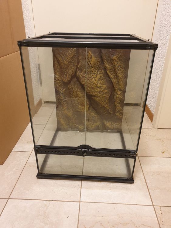 exo terrarium kaufen