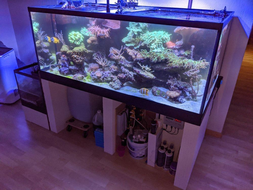 720 Liter Aquarium 150x80x60 acheter sur Ricardo