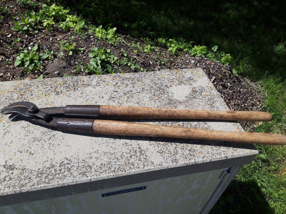 Alte Baumschere Kaufen auf Ricardo