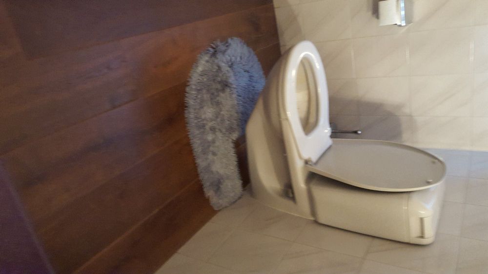 Graue Toilette Sp 252 lkasten Waschbecken Kaufen auf Ricardo