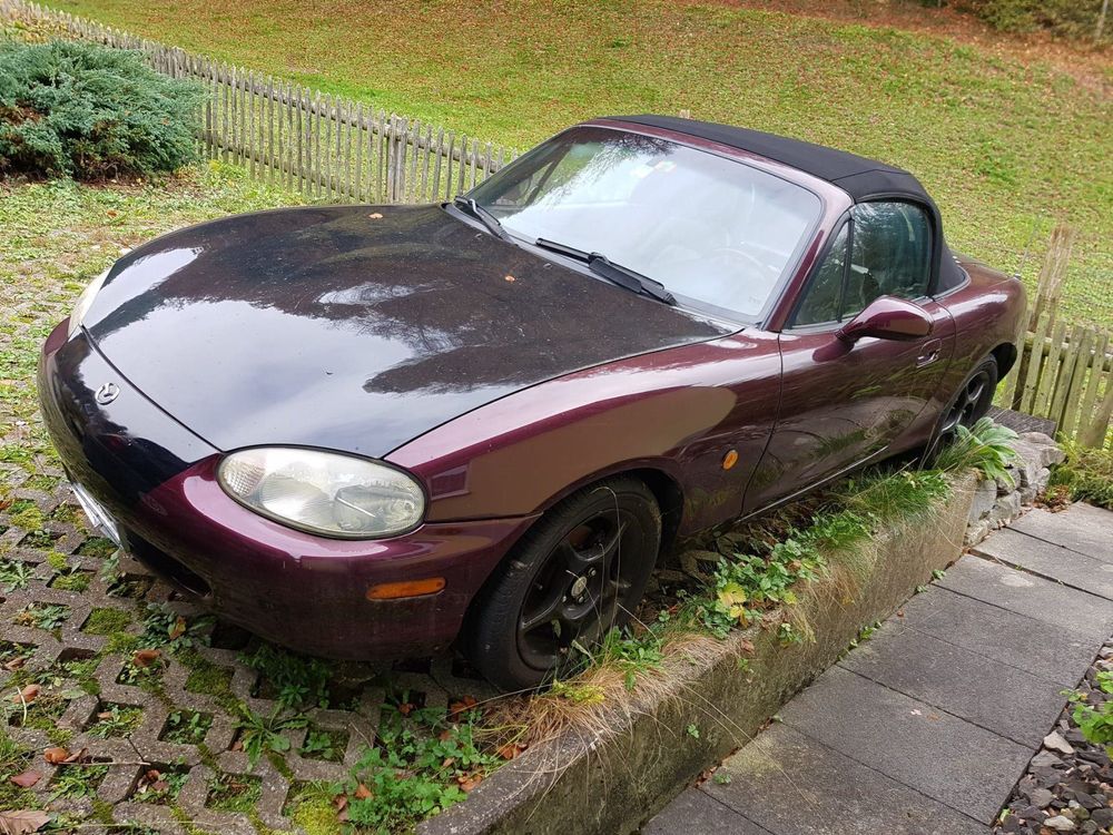 Nardi torino mazda