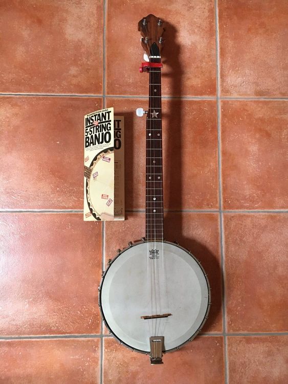 Banjo Kaufen auf Ricardo