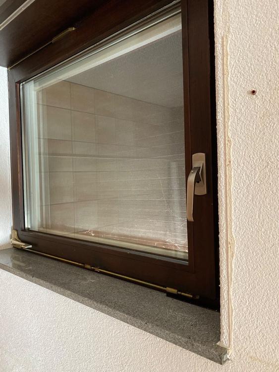 Fenster kaufen auf Ricardo