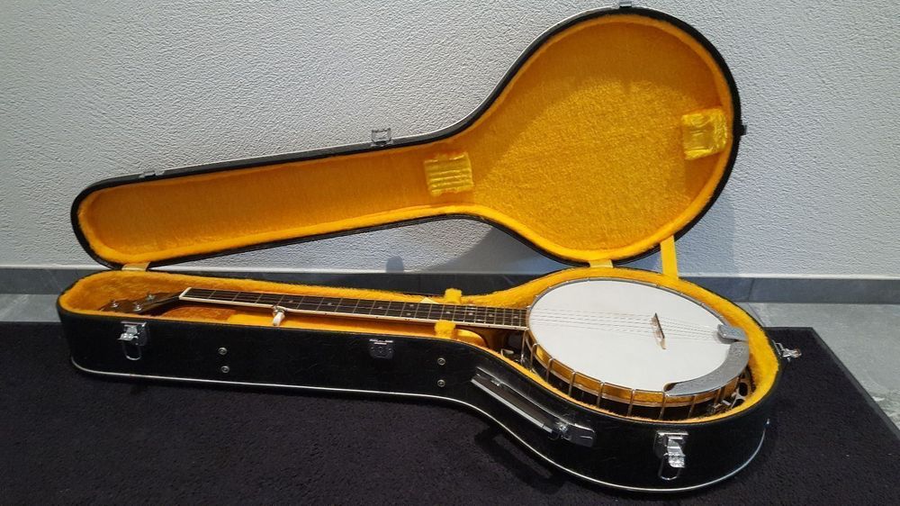 Banjo Kaufen auf Ricardo