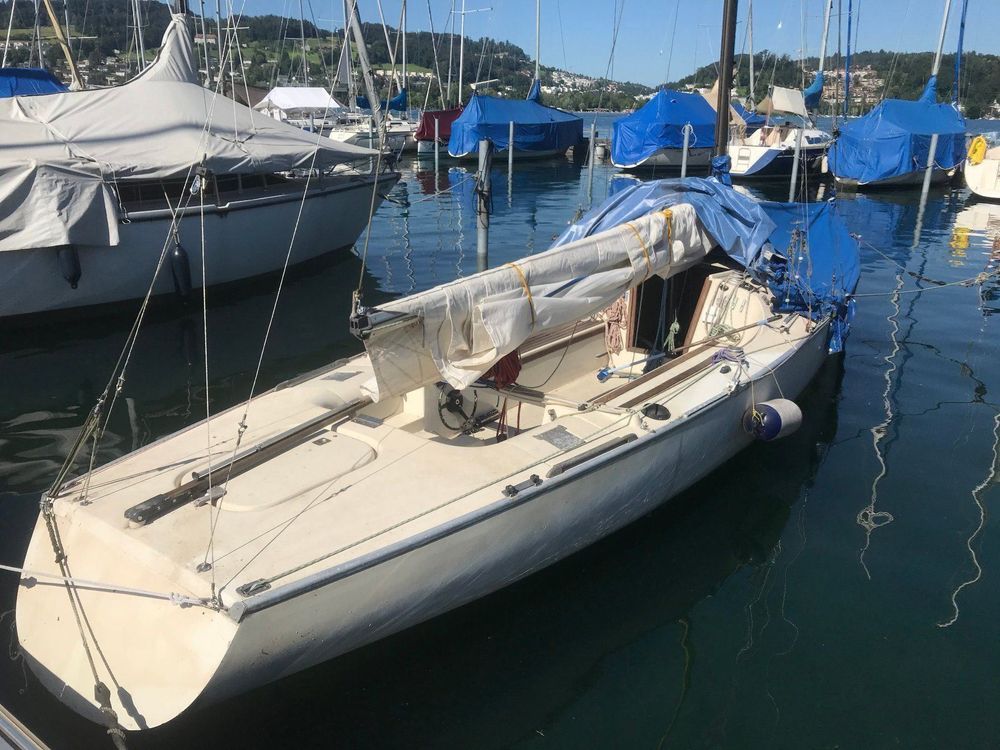 29er segelboot kaufen