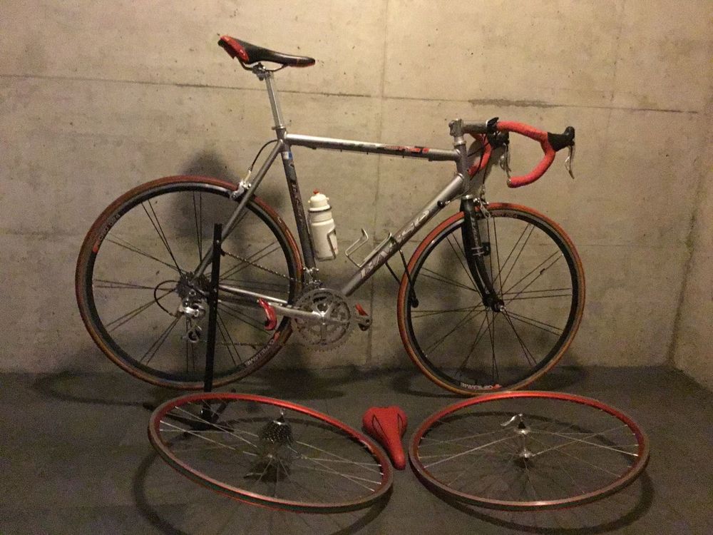 Basso Coral | Comprare su Ricardo