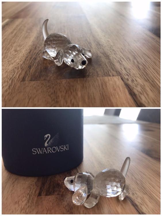 Swarovski Hund Kaufen auf Ricardo