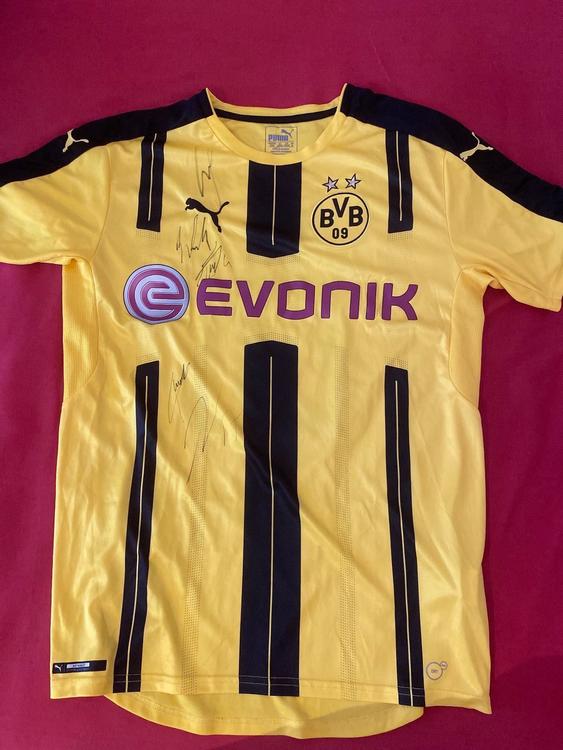 Borussia Dortmund 16/17 Trikot ab 1 CHF kaufen auf Ricardo