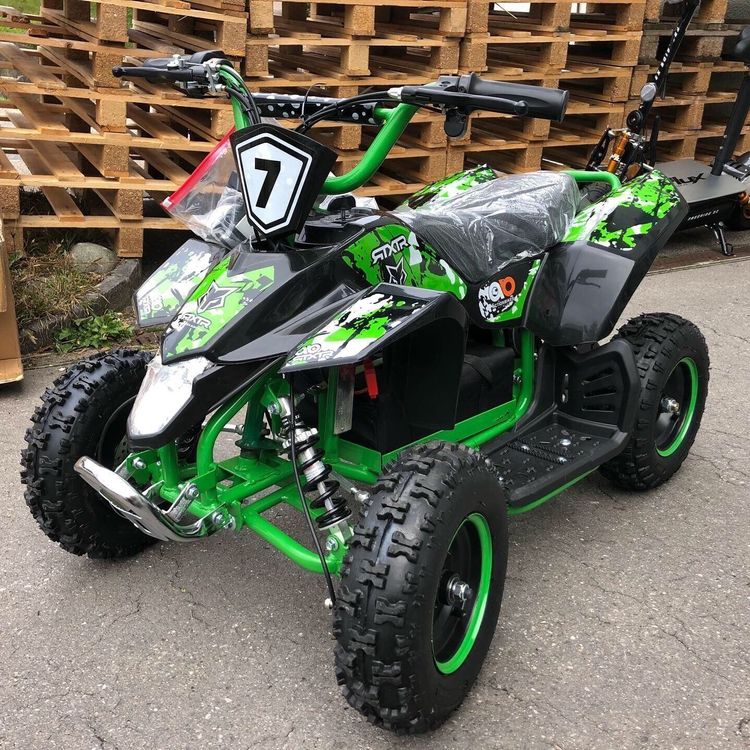 1000 watt quad bike