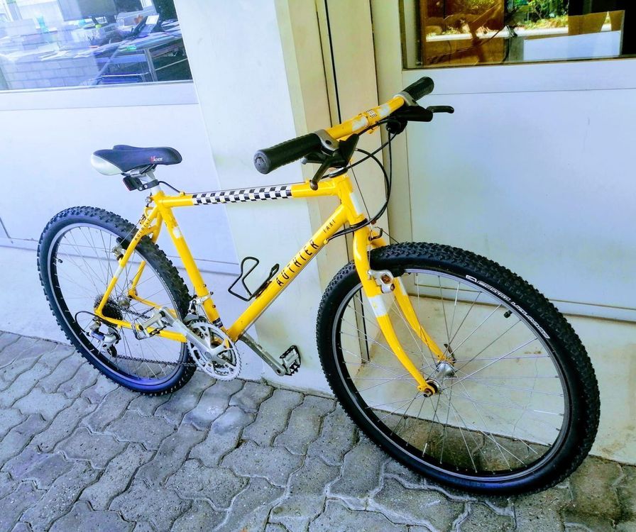 Authier (by Ferraroli) Taxi VTT Kaufen auf Ricardo