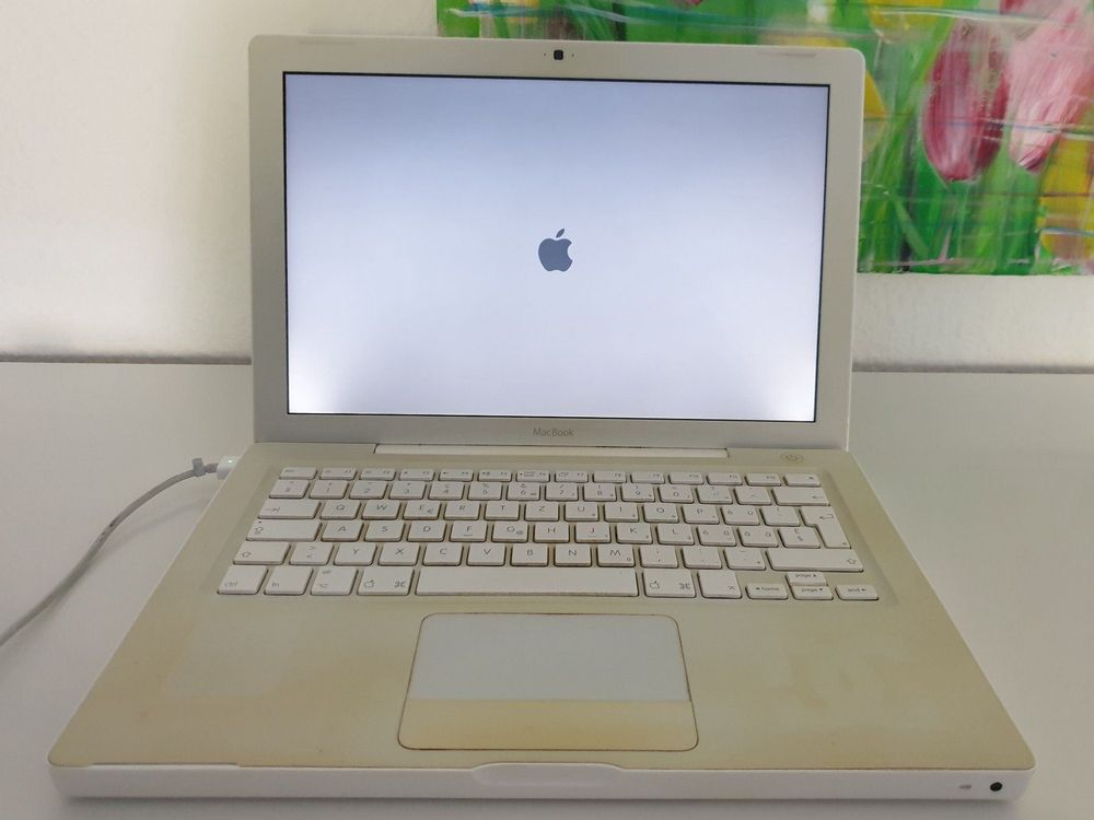 Apple Macbook A1181 13 3 Zoll Kaufen Auf Ricardo