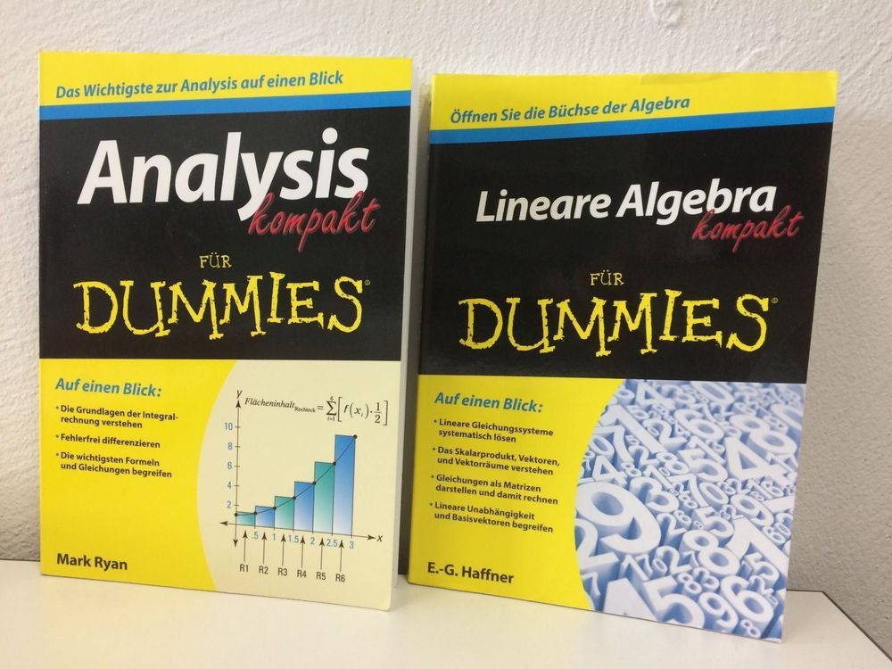 Analysis I Und Lineare Algebra Für Ingenieurwissenschaften