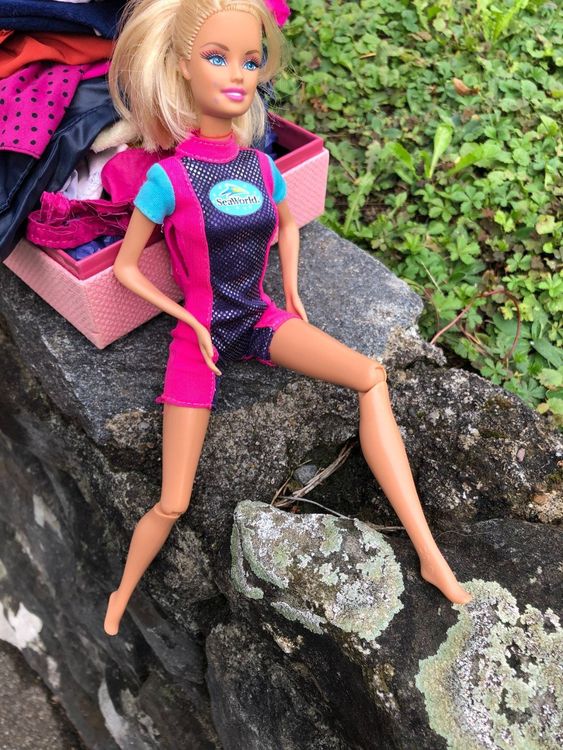 BARBIE SEAWORLD PUPPEN BEWEGLICH | Kaufen auf Ricardo