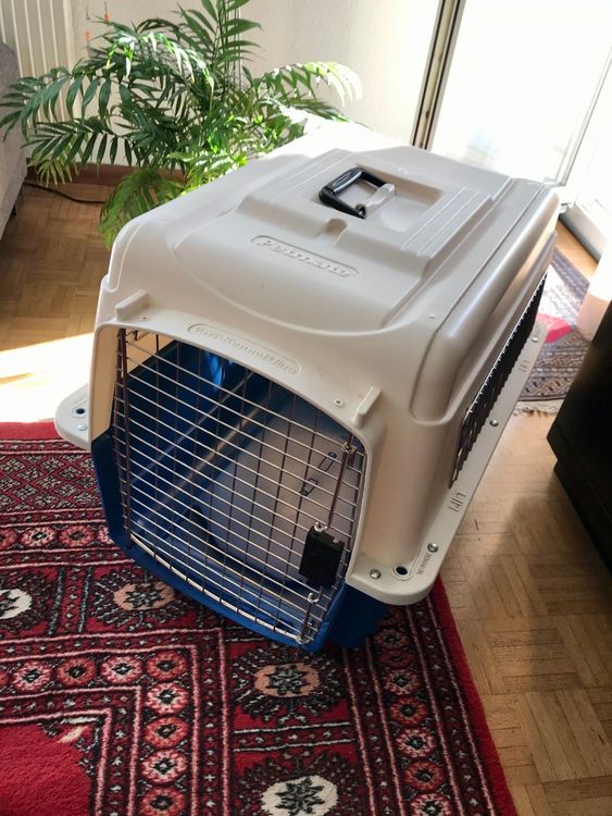 Praktische Hundebox / Flugbox Kaufen auf Ricardo