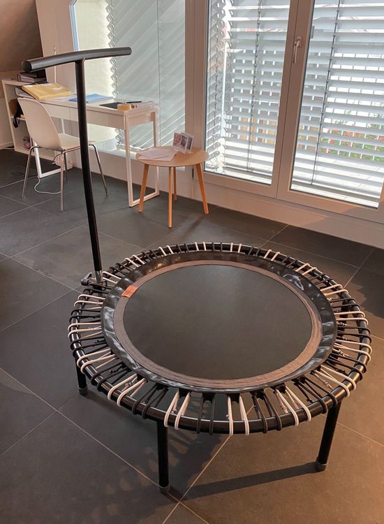 bellicon Touwringenset voor 112 cm rebounder, 36 originele