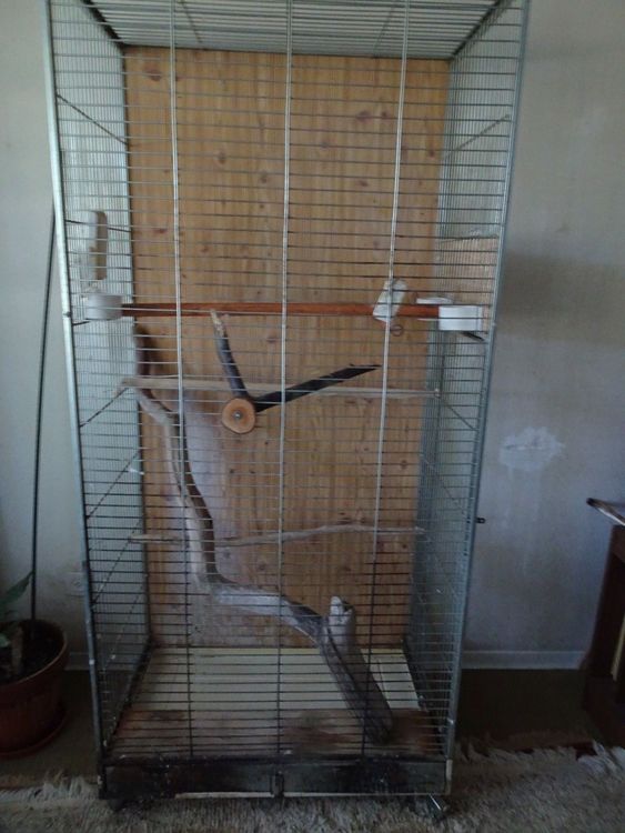 Vogelkäfig - Volière 80 x 50 x 178 cm | Kaufen auf Ricardo
