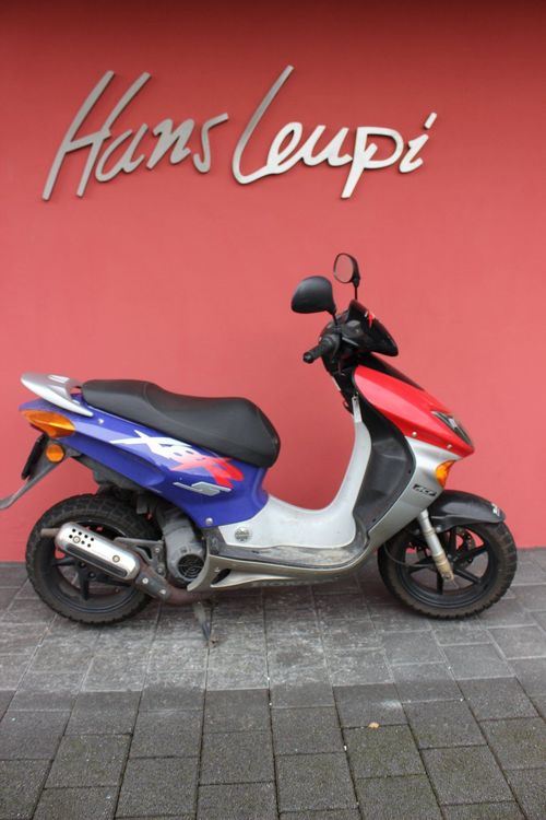 Honda SFX 50 Kaufen auf Ricardo