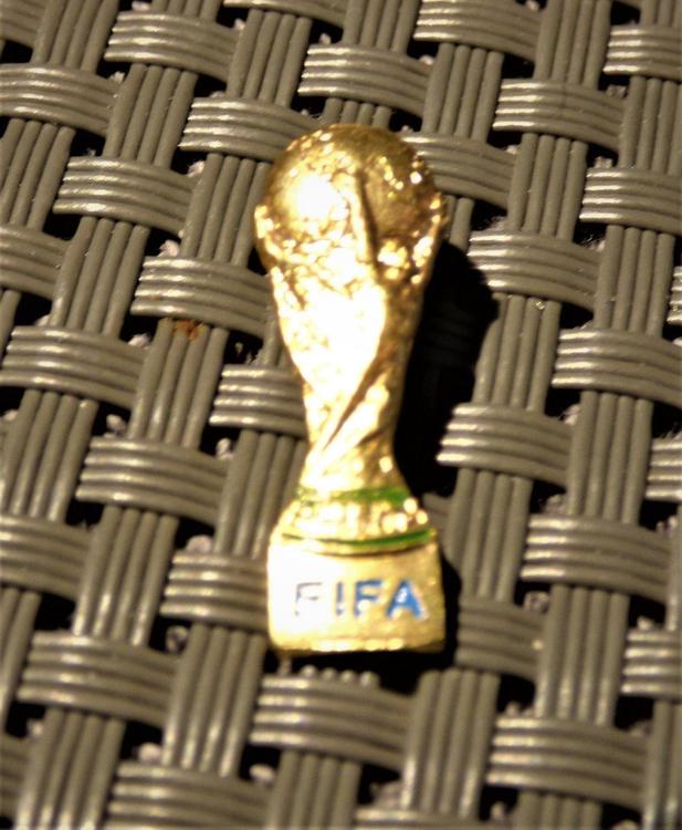 Pin WM Pokal FIFA | Kaufen auf Ricardo