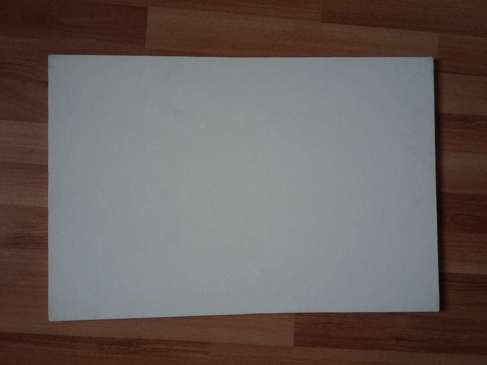 blank canvas 40 x 60 cm Kaufen auf Ricardo