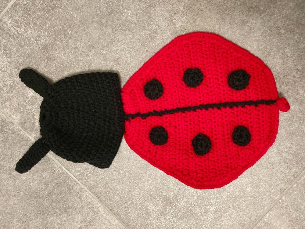 Ensemble Pour Photo Bebe Coccinelle Kaufen Auf Ricardo