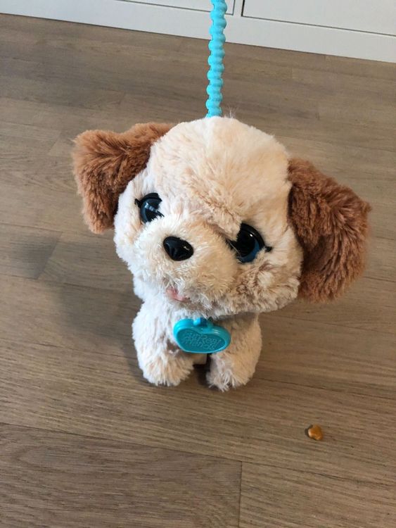FurReal Friends Hund Pax Kaufen auf Ricardo