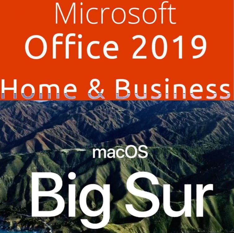 Office Home & Business 2019 Mac BIG SUR  Kaufen auf Ricardo
