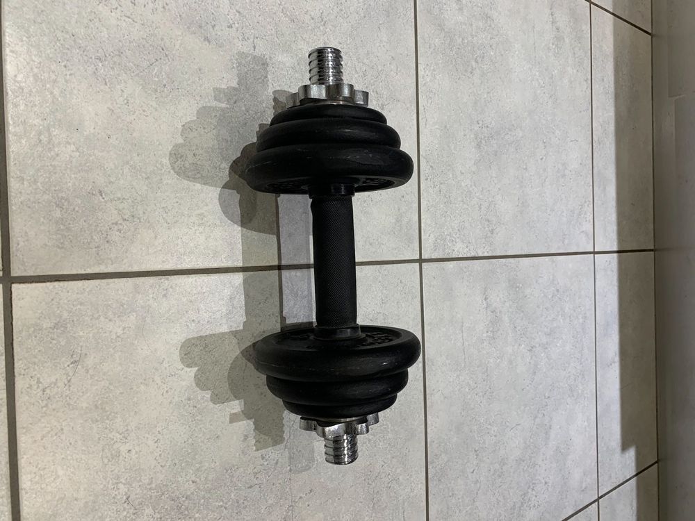 10 kilo kurzhantel