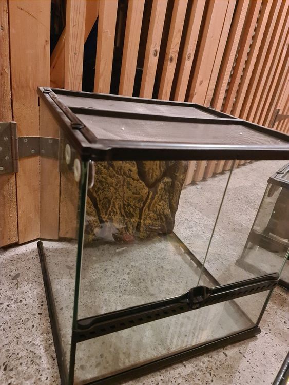 exo terra terrarium 90x60x60