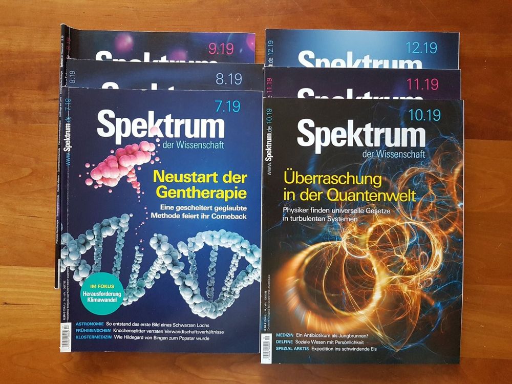 Spektrum Der Wissenschaft, 6 Ausg. | Kaufen Auf Ricardo