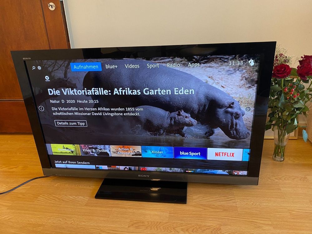 Sony Bravia TV 45 Zoll | Kaufen auf Ricardo