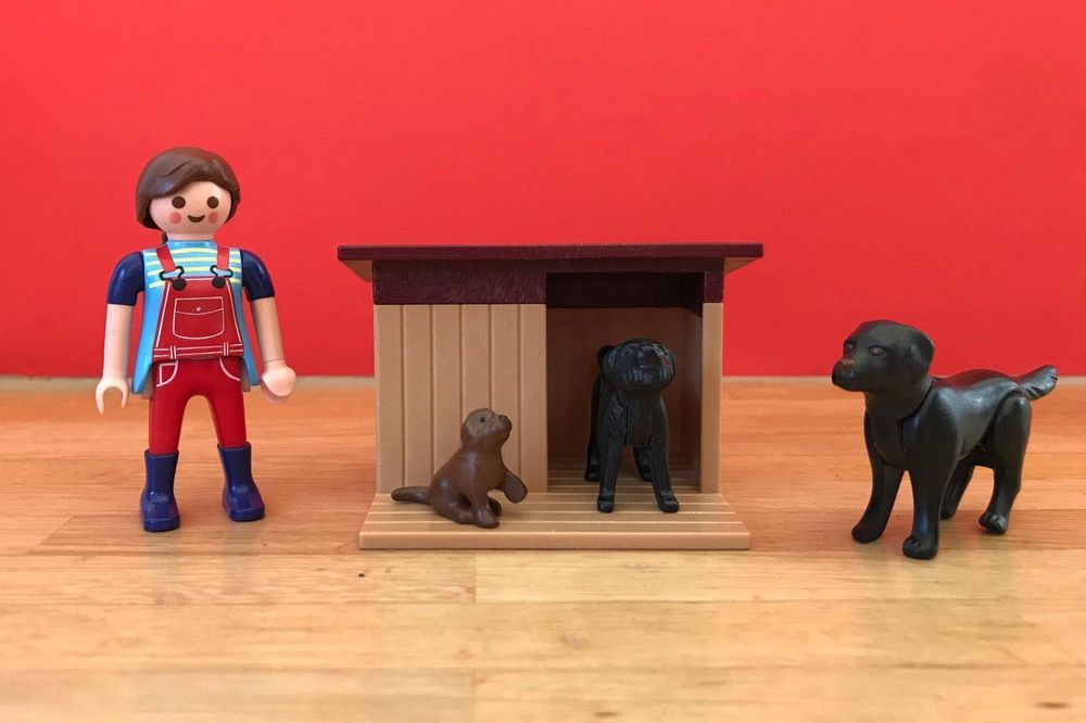 Playmobil Frau mit Hunden und Hundehütte Kaufen auf Ricardo
