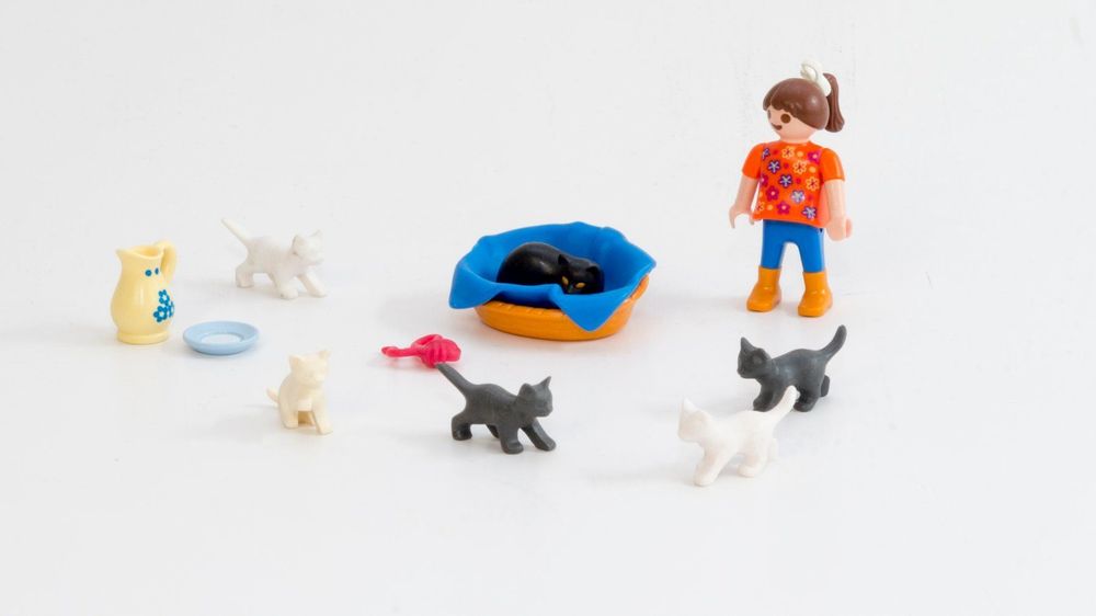 playmobil  mädchen mit katzen  kaufen auf ricardo