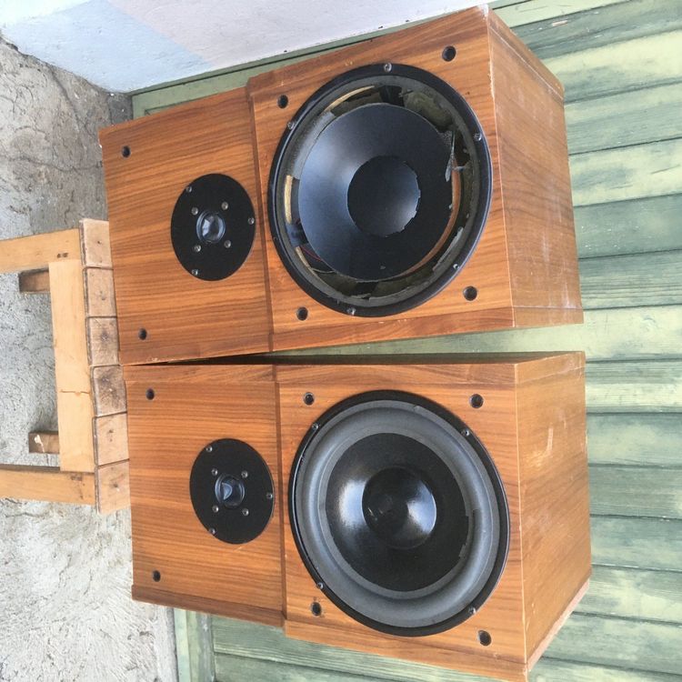 dynaudio 80