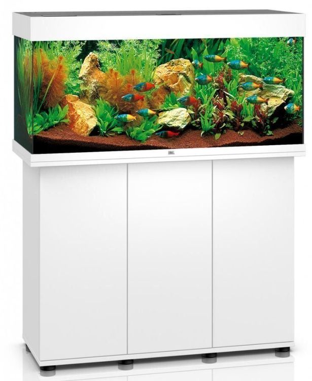 Aquarium Juwel 180l | Acheter sur Ricardo