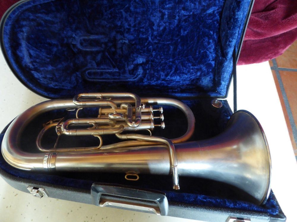 Althorn in Es Kaufen auf Ricardo