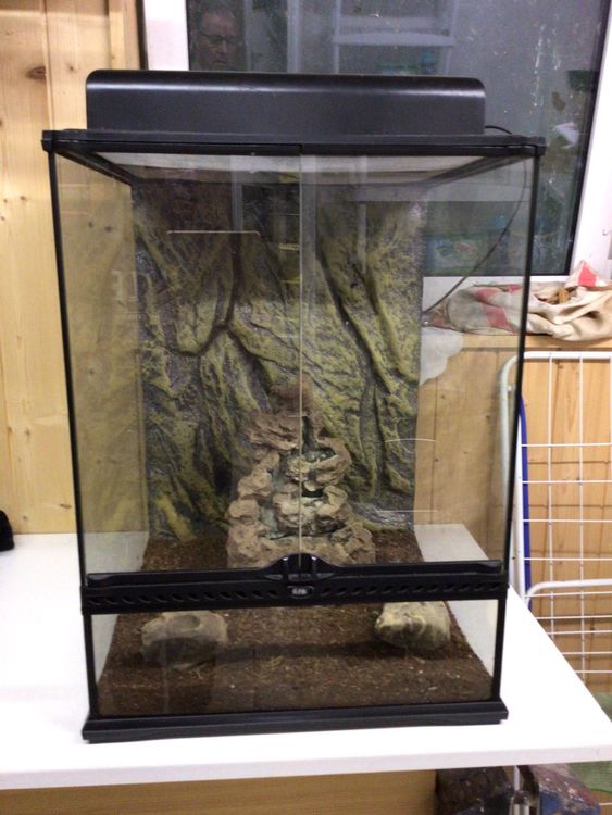 Exo Terra Terrarium Kaufen auf Ricardo