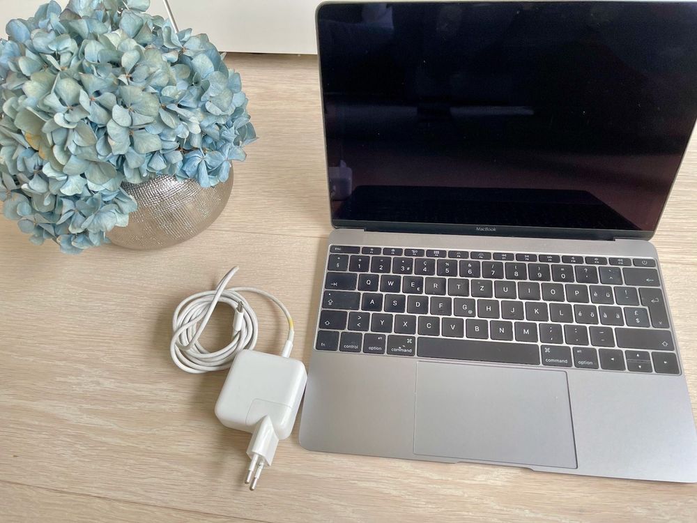 Apple MacBook Space Grey 12 Zoll, 256GB | Kaufen auf Ricardo